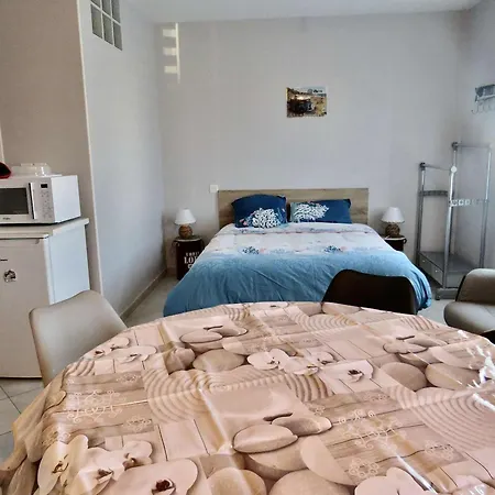 Moderne A Plouhinec, Wifi, Parking, Animaux Acceptes - Fr-1-479-184 Apartman