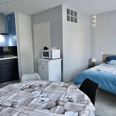 Moderne A Plouhinec, Wifi, Parking, Animaux Acceptes - Fr-1-479-184